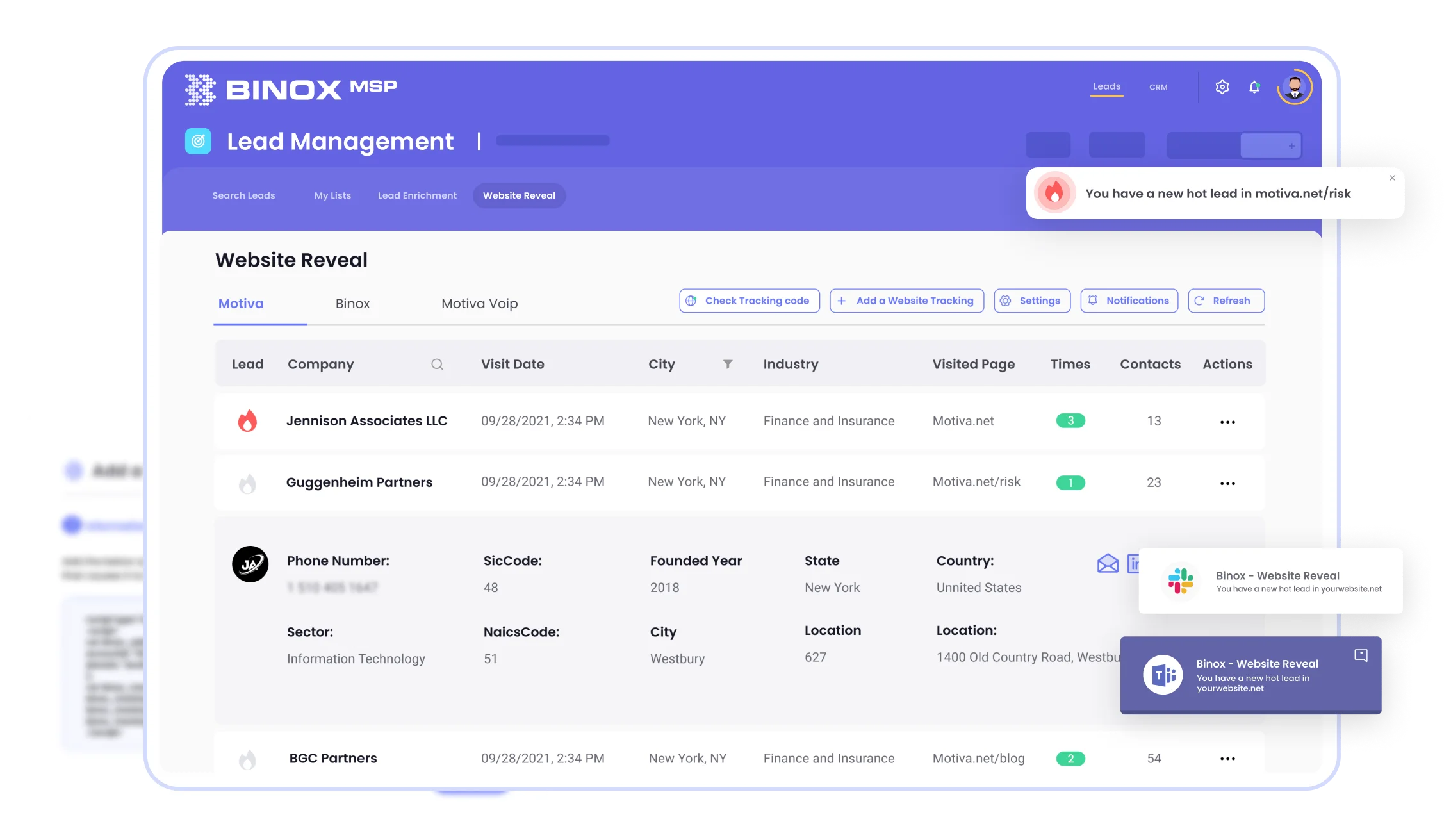 Website Reveal